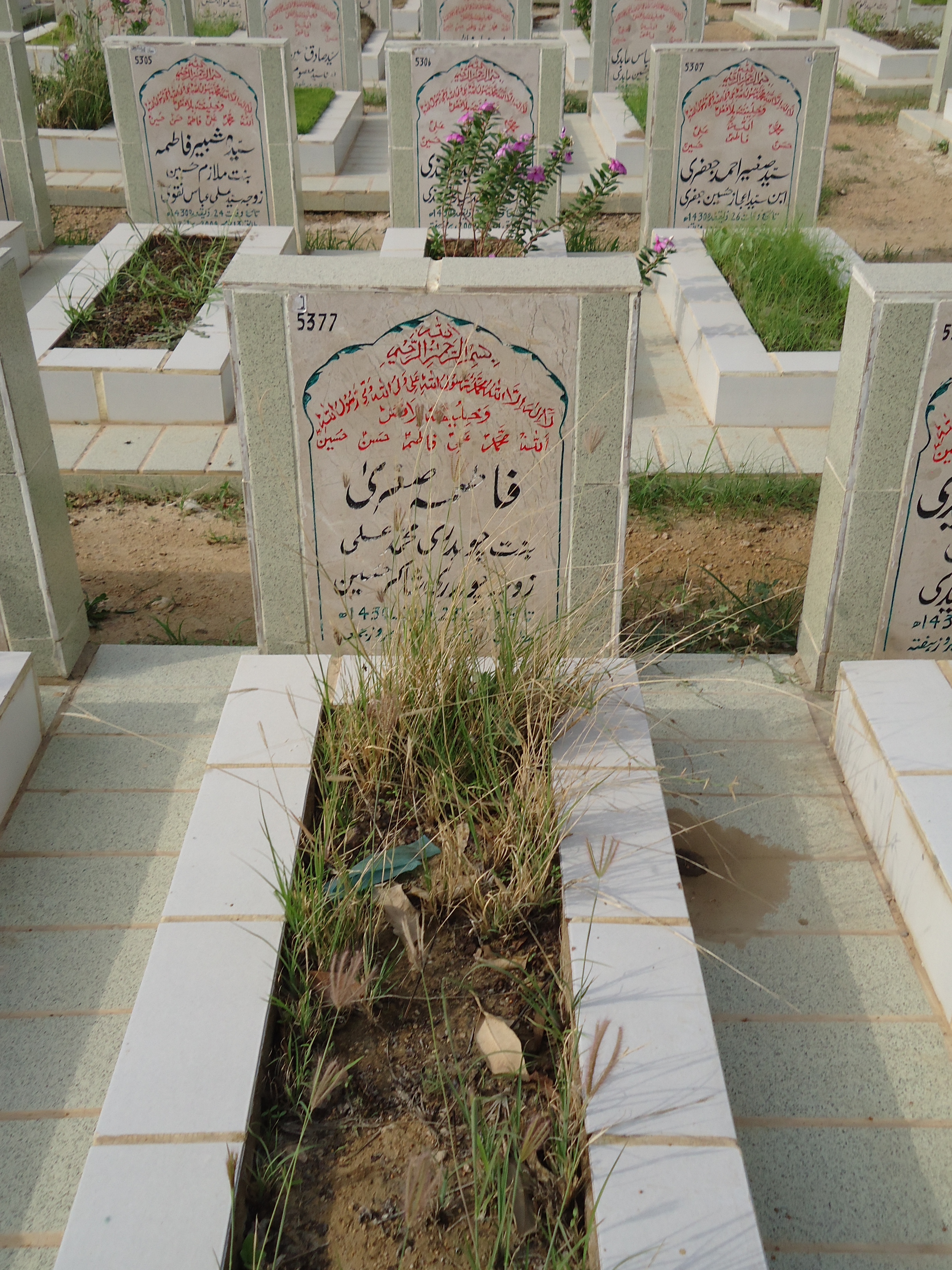 5377 – Fatima Sughra